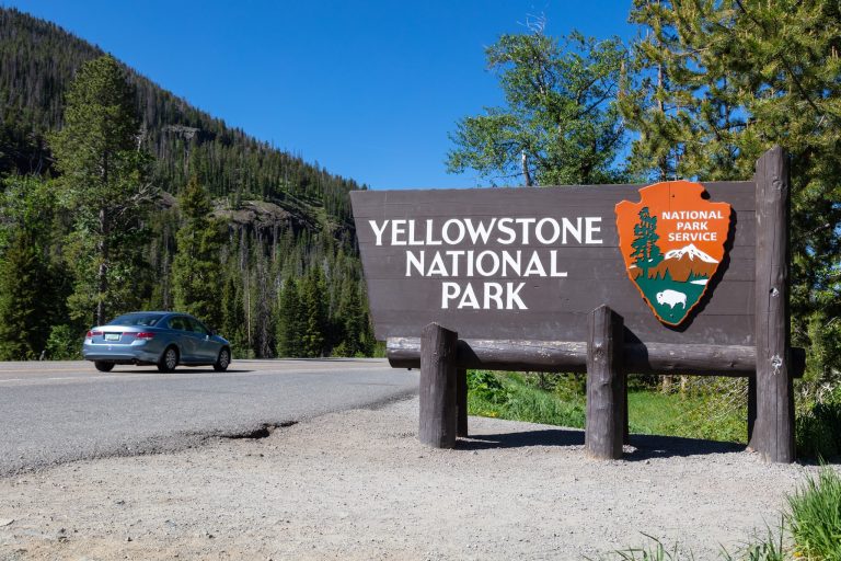 When Does Yellowstone Open? Mountain River Ranch